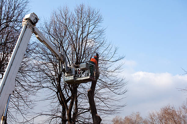 Soil Testing and Treatment in Port Jefferson, NY