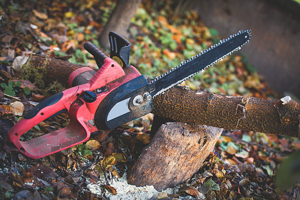 Best Commercial Tree Services  in Port Jefferson, NY